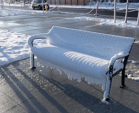 Park bench in the snow, CO